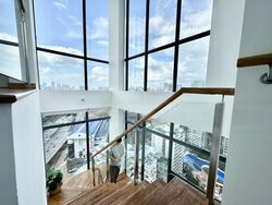 Lucida (D11), Apartment #567191051